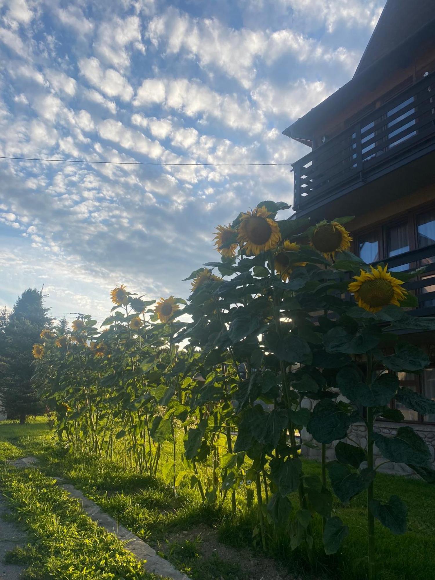 Pokoje Goscinne Maja Bialka Tatrzanska Exteriör bild
